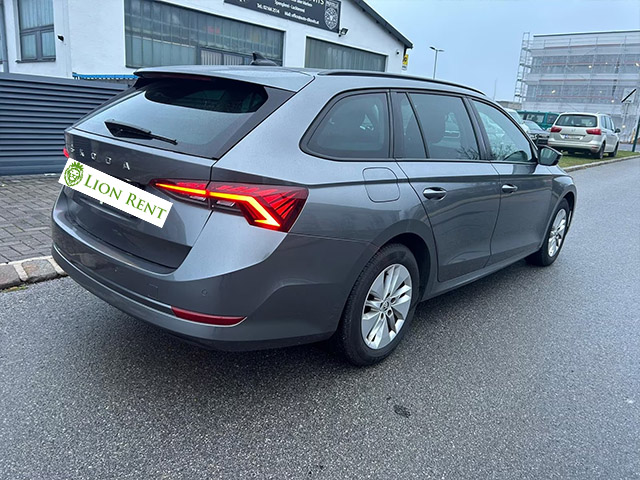 Lion Rent + masini de inchiriat