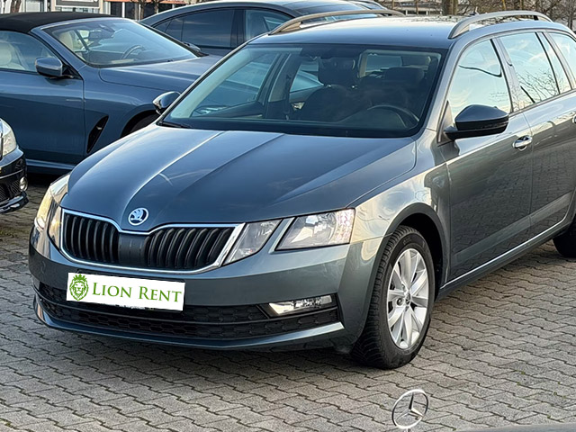 Inchirieri masini Lion Rent 2