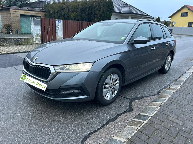 masini de inchiriat Lion Rent